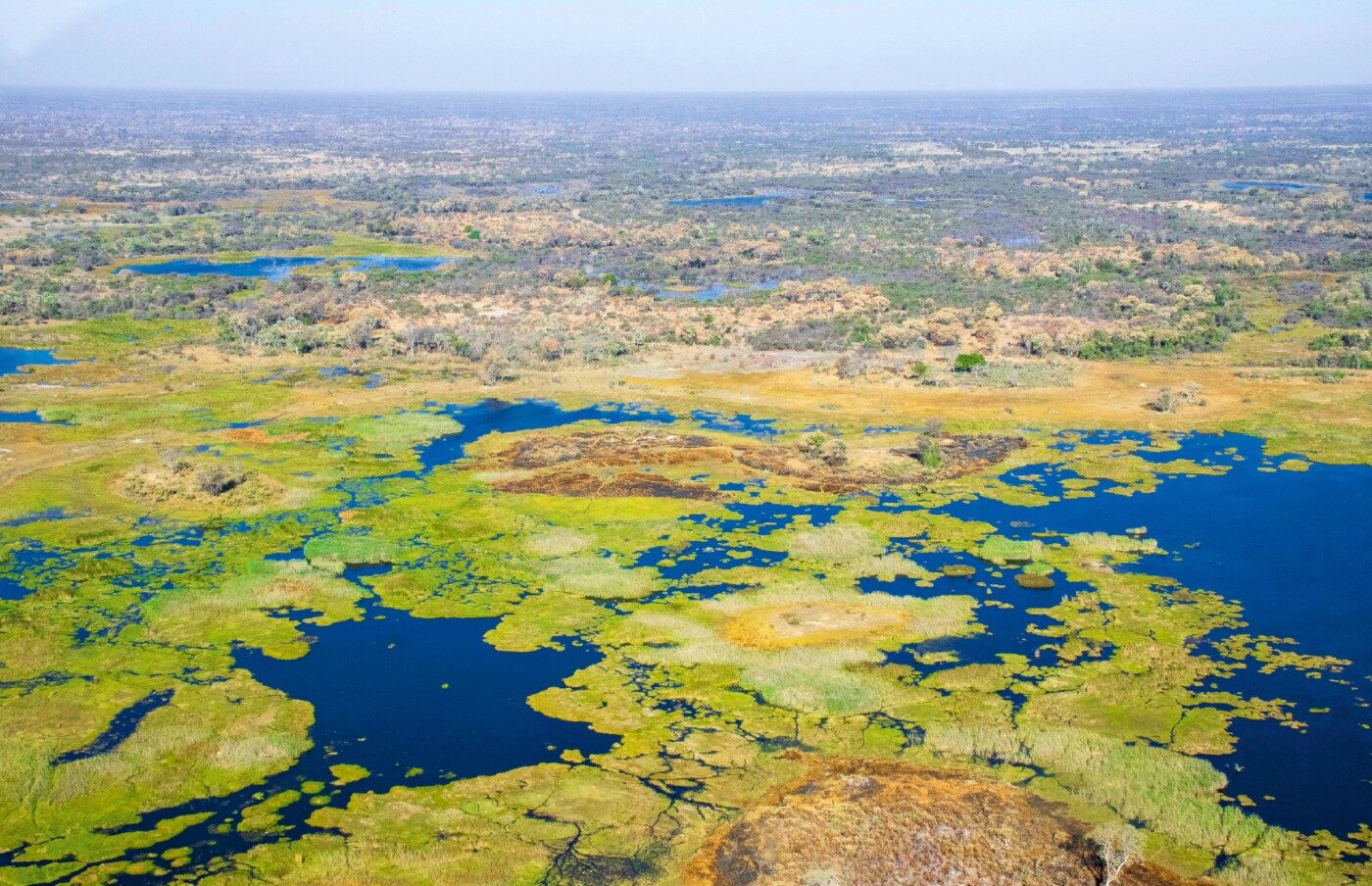 Okavango Delta HighRes 13970