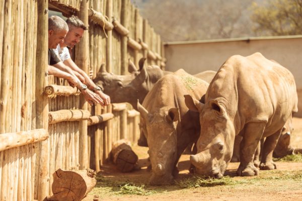 big bang sorai hublot Care For Wild Rhino Sanctuary 2